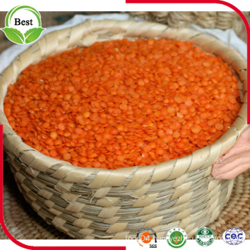 2016 New Crop Dry Red Lentils